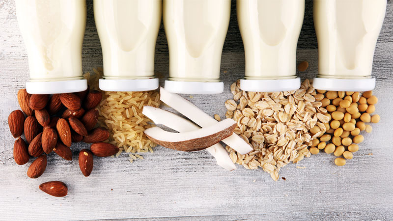 Comment choisir votre boisson végétale ?